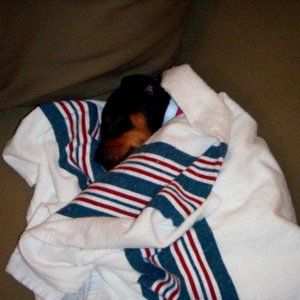 Meet your Posher, Carla